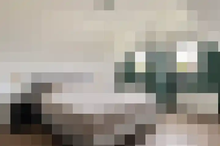 Foarwei 38 Wâlterswâld thumbnail 46