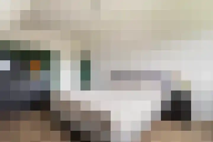 Foarwei 38 Wâlterswâld thumbnail 47