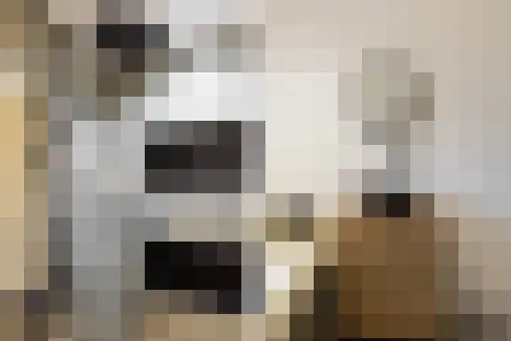Foarwei 38 Wâlterswâld thumbnail 53