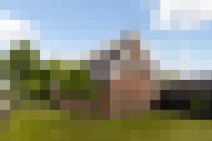 Foarwei 38 Wâlterswâld thumbnail 7