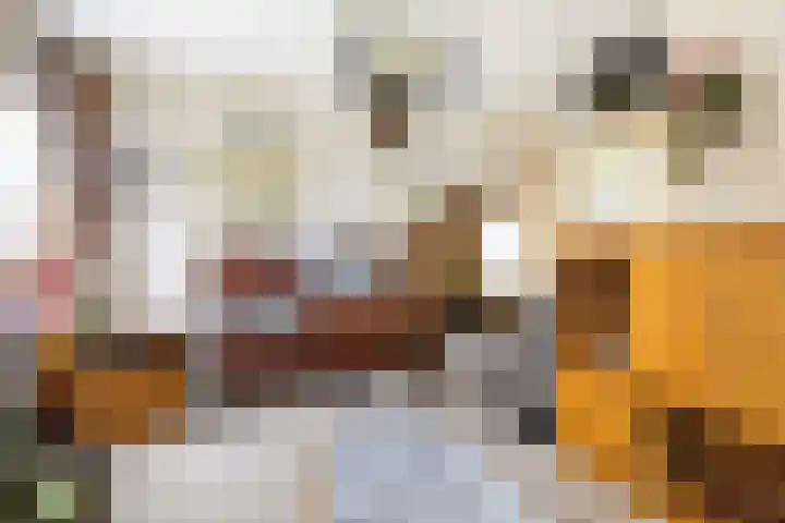 Foarwei 49 Damwâld thumbnail 10