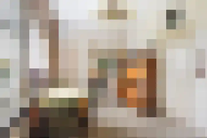 Foarwei 49 Damwâld thumbnail 12