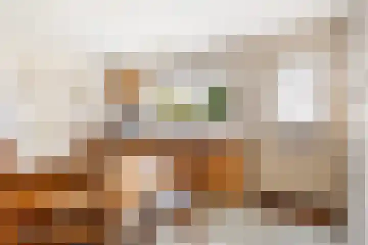 Foarwei 49 Damwâld thumbnail 13