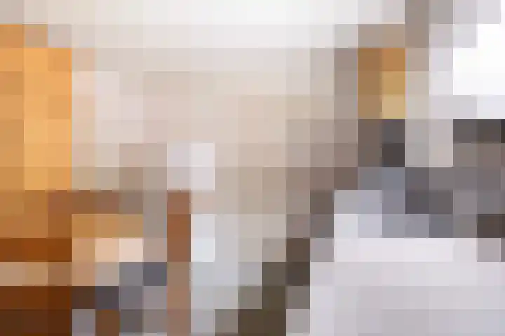 Foarwei 49 Damwâld thumbnail 15
