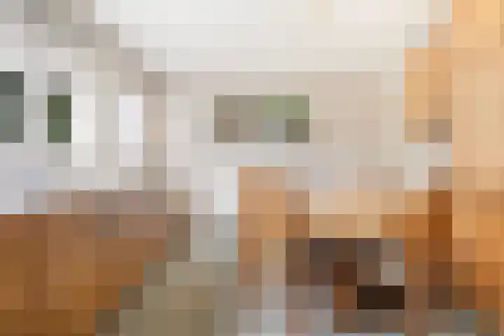 Foarwei 49 Damwâld thumbnail 16