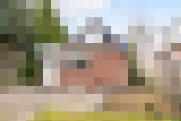 Foarwei 49 Damwâld thumbnail 17