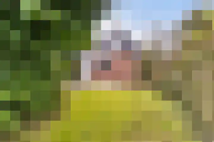 Foarwei 49 Damwâld thumbnail 18
