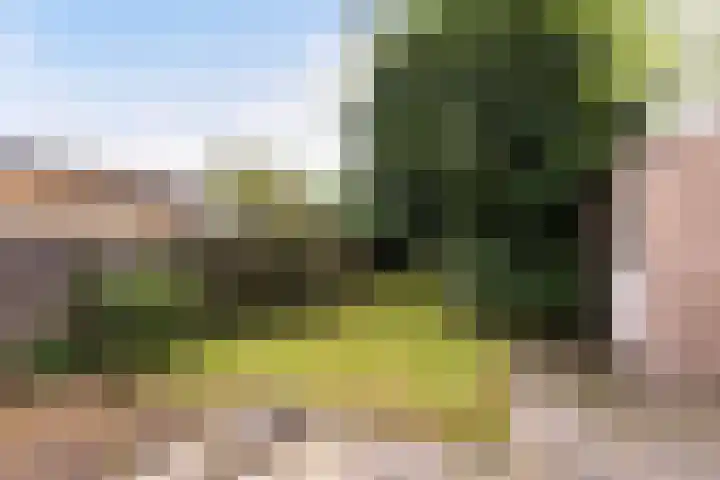Foarwei 49 Damwâld thumbnail 19