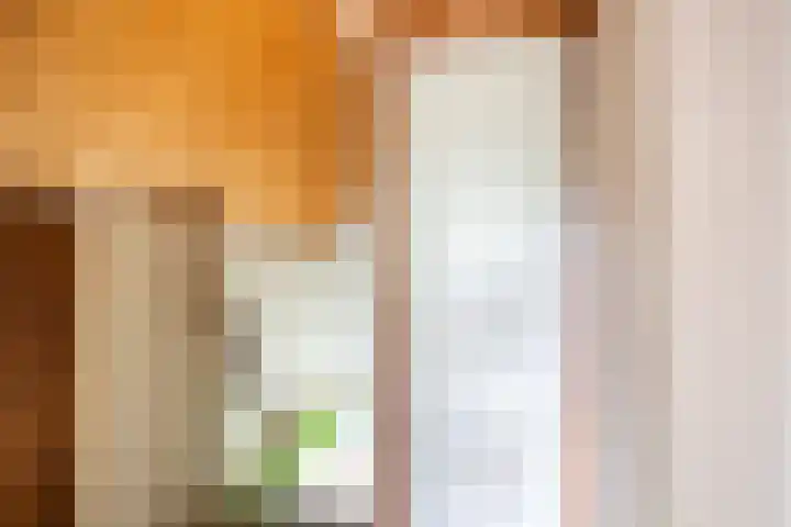 Foarwei 49 Damwâld thumbnail 25