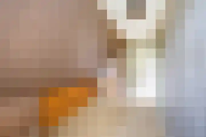 Foarwei 49 Damwâld thumbnail 28