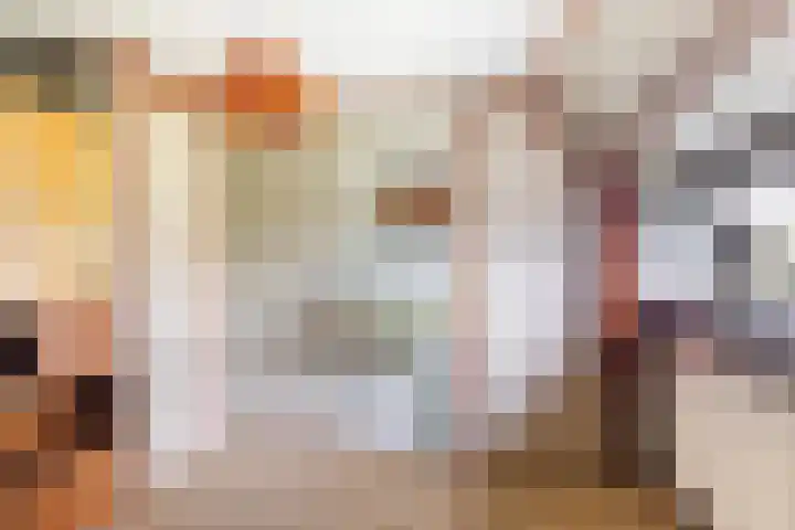 Foarwei 49 Damwâld thumbnail 31