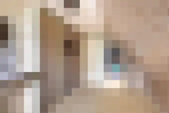 Foarwei 49 Damwâld thumbnail 33