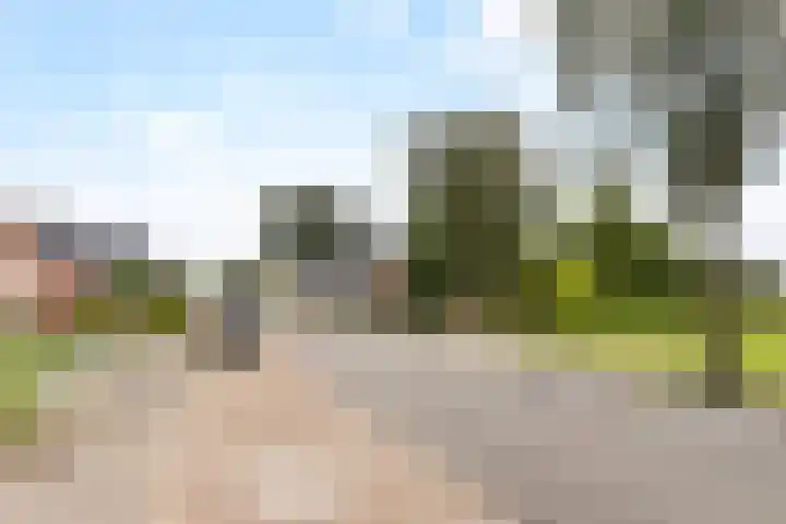 Foarwei 49 Damwâld thumbnail 36