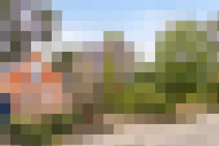 Foarwei 49 Damwâld thumbnail 37