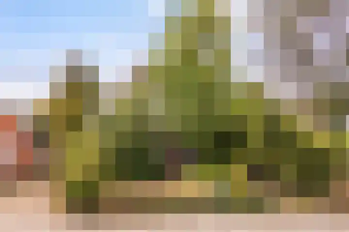 Foarwei 49 Damwâld thumbnail 38