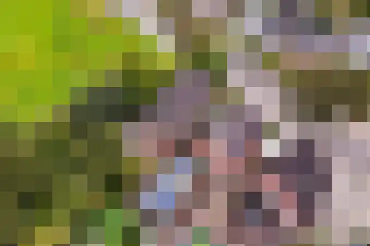 Foarwei 49 Damwâld thumbnail 41