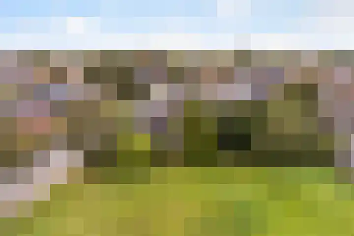 Foarwei 49 Damwâld thumbnail 43