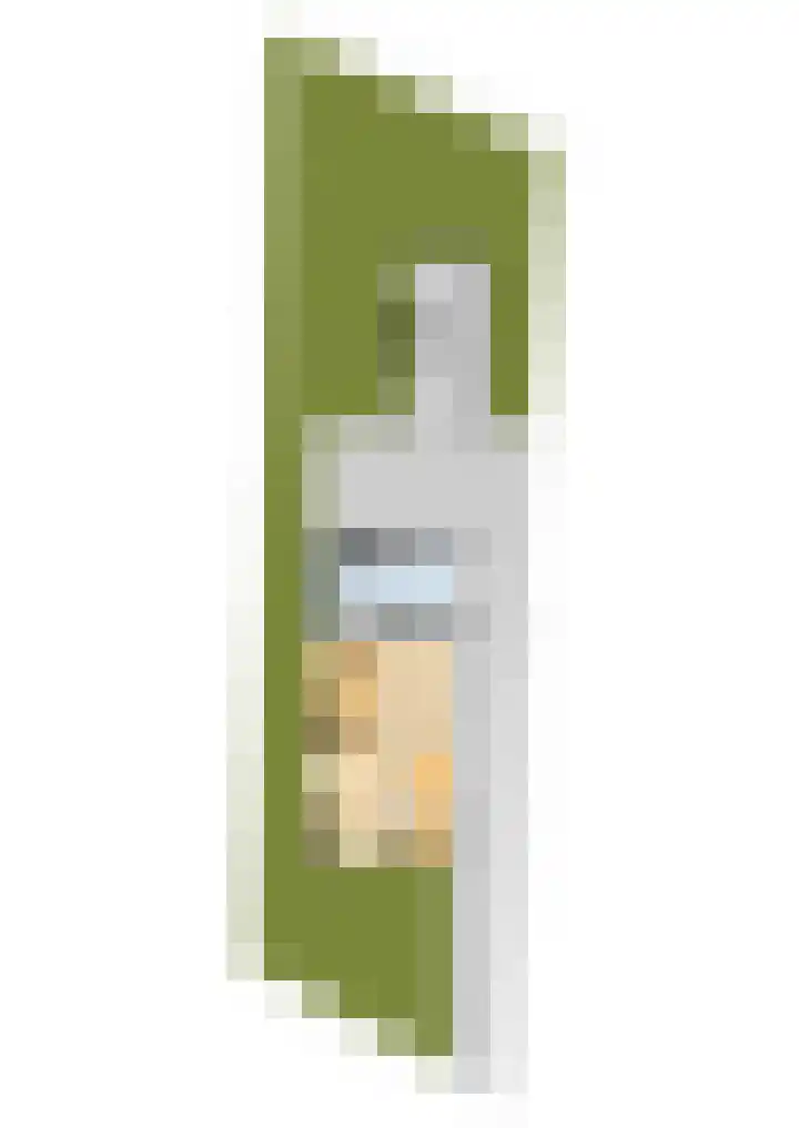 Foarwei 49 Damwâld thumbnail 49