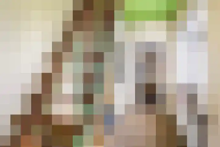 Foarwei 49 Damwâld thumbnail 6
