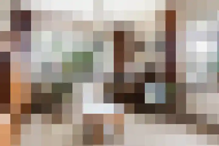 Foarwei 49 Damwâld thumbnail 9