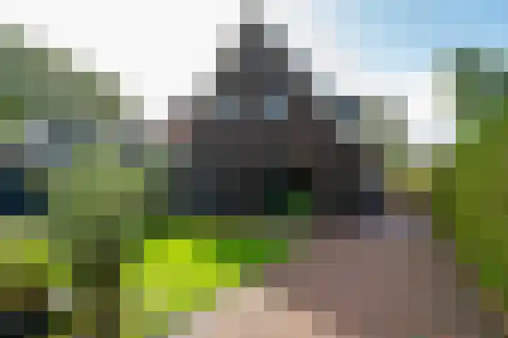 Foarwei 8 dans Damwâld