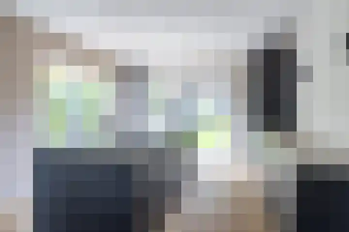 Foarwei 8 Damwâld thumbnail 10