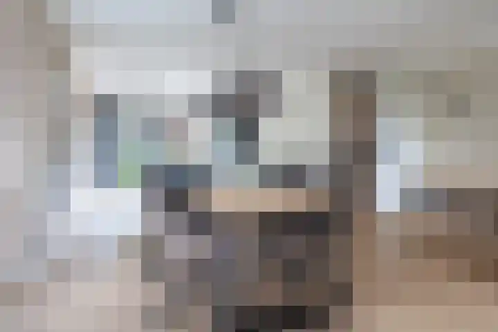 Foarwei 8 Damwâld thumbnail 12