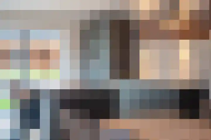 Foarwei 8 Damwâld thumbnail 14