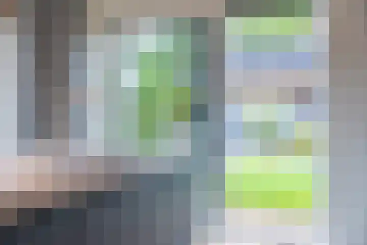Foarwei 8 Damwâld thumbnail 15
