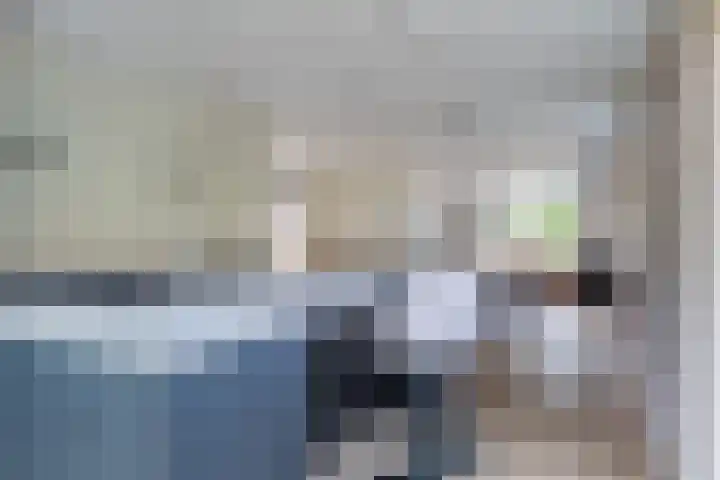 Foarwei 8 Damwâld thumbnail 16