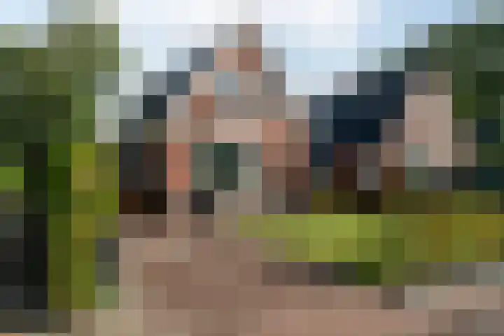 Foarwei 8 Damwâld thumbnail 19