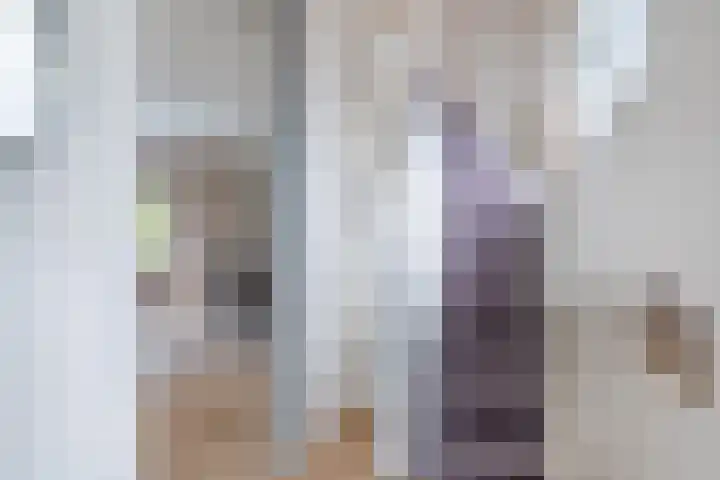Foarwei 8 Damwâld thumbnail 21