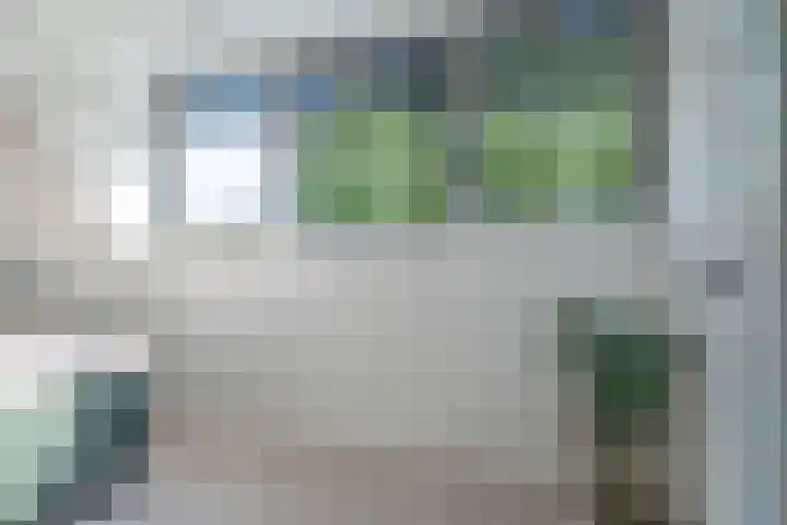 Foarwei 8 Damwâld thumbnail 24