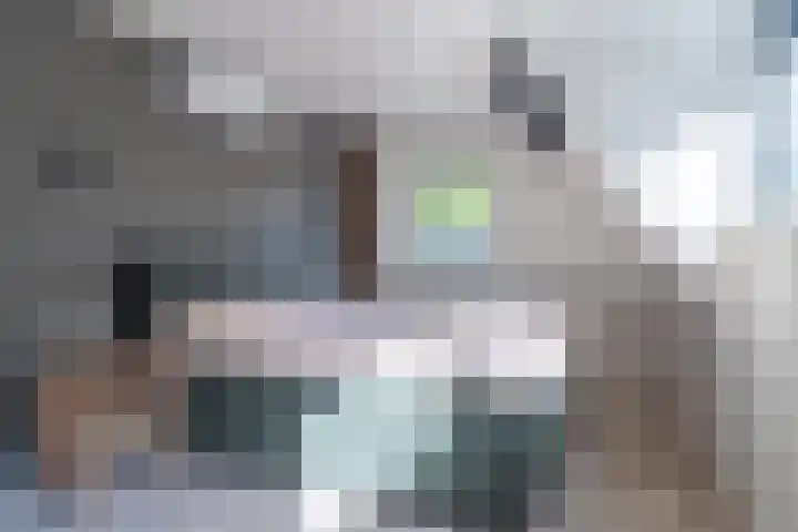 Foarwei 8 Damwâld thumbnail 25
