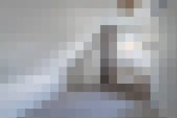 Foarwei 8 Damwâld thumbnail 26