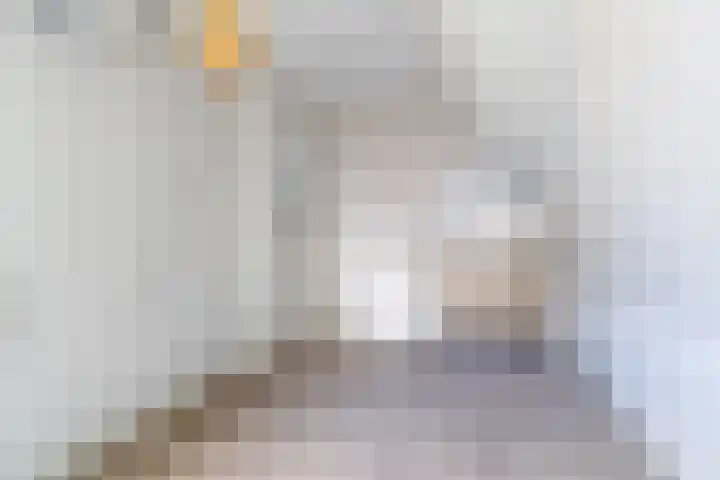Foarwei 8 Damwâld thumbnail 27