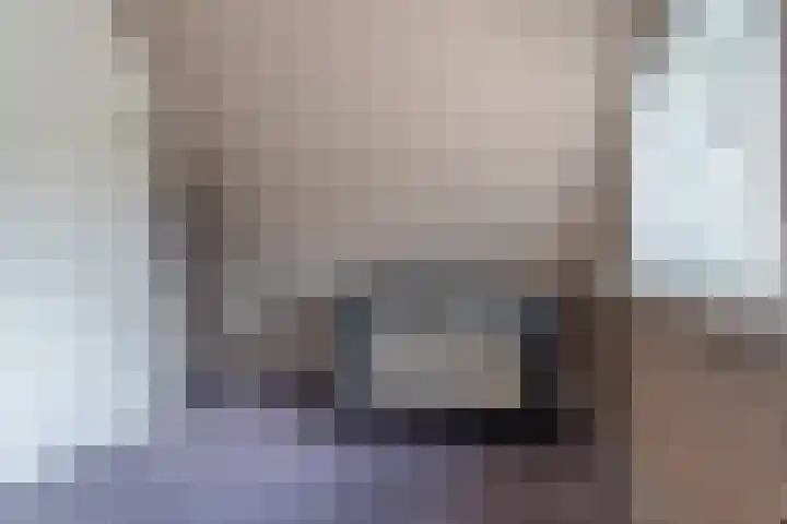 Foarwei 8 Damwâld thumbnail 29