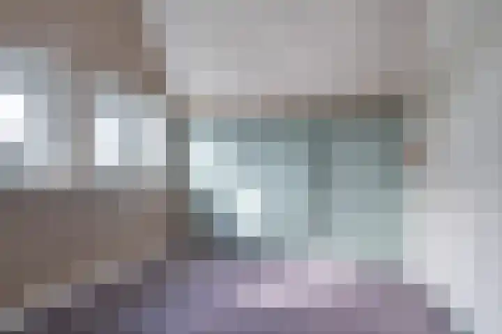 Foarwei 8 Damwâld thumbnail 30