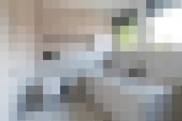 Foarwei 8 Damwâld thumbnail 31