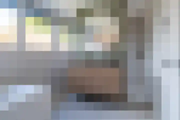 Foarwei 8 Damwâld thumbnail 32