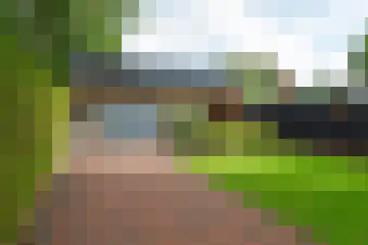 Foarwei 8 Damwâld thumbnail 36