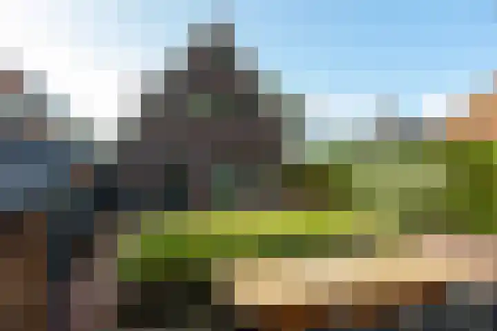 Foarwei 8 Damwâld thumbnail 39