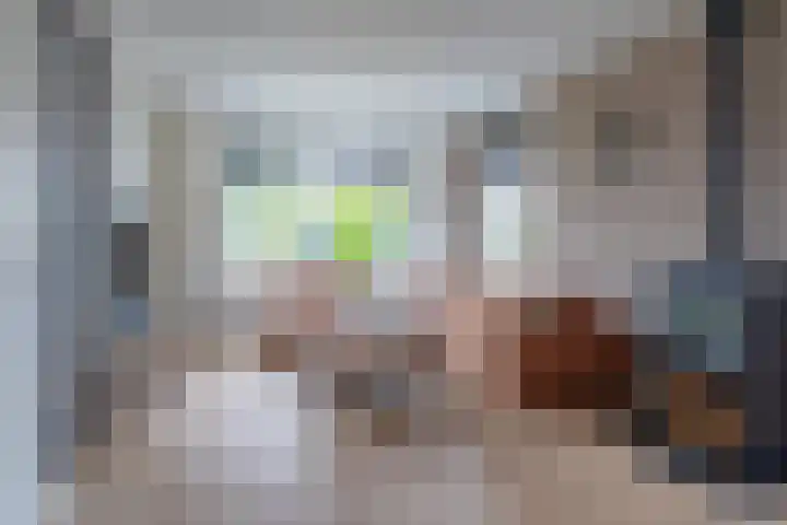 Foarwei 8 Damwâld thumbnail 4
