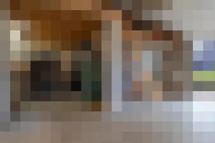 Foarwei 8 Damwâld thumbnail 40