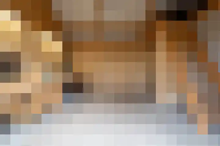 Foarwei 8 Damwâld thumbnail 41