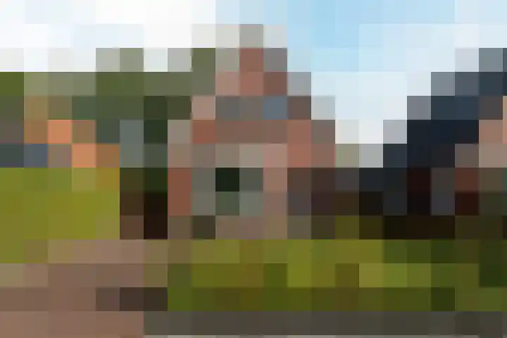Foarwei 8 Damwâld thumbnail 42