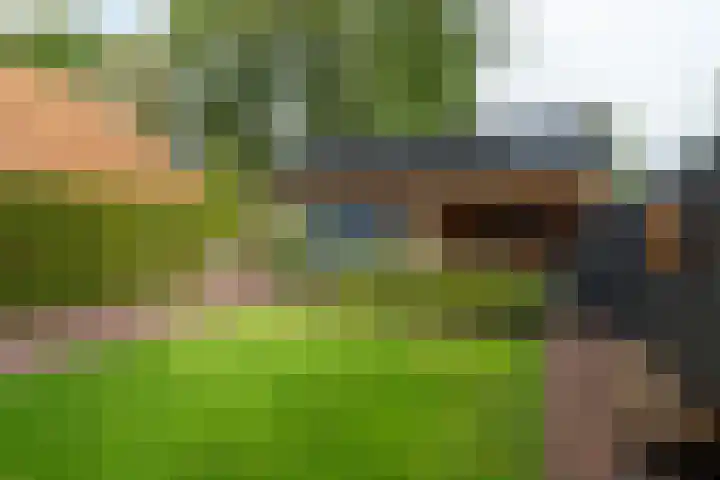Foarwei 8 Damwâld thumbnail 5