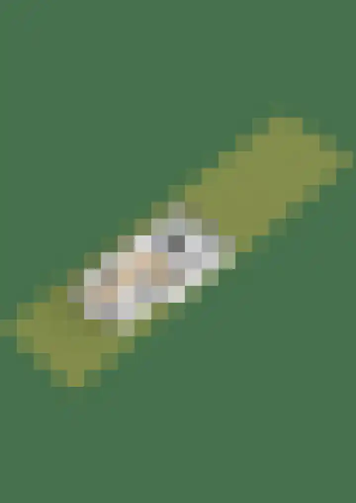 Foarwei 8 Damwâld thumbnail 54