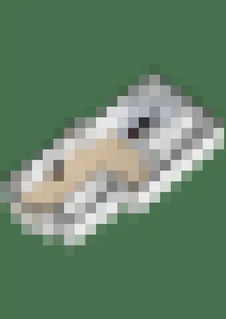 Foarwei 8 Damwâld thumbnail 55