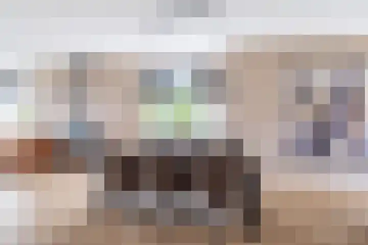 Foarwei 8 Damwâld thumbnail 7